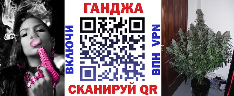 Купить закладки  Вязьма  Канабис сатива 